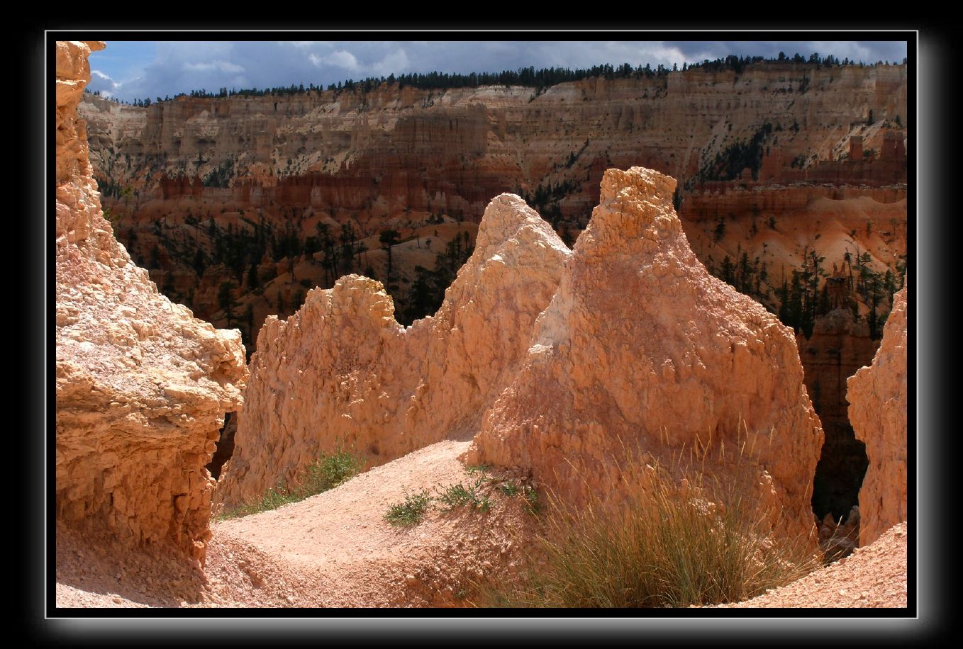 Bryce Canyon VII